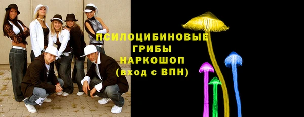 мяу мяу мука Дмитриев