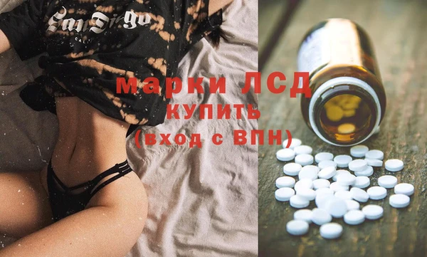 spice Дмитровск
