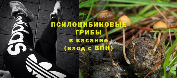 мяу мяу мука Дмитриев