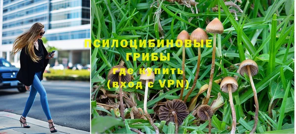 мяу мяу мука Дмитриев