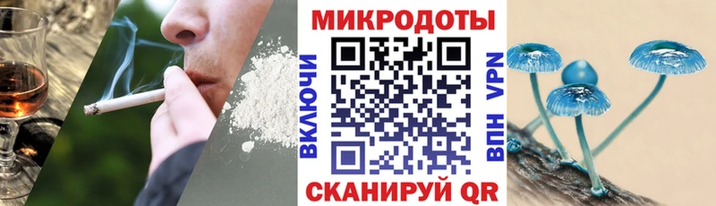 Галлюциногенные грибы прущие грибы  Ессентукская 