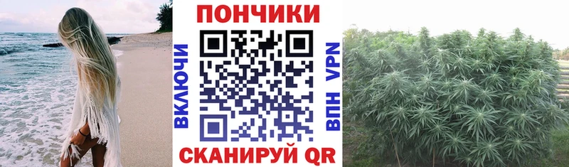 Шишки марихуана Bruce Banner  Ессентукская 